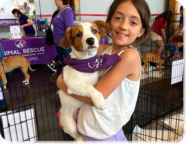 Support Animal Causes with Branded Dog Bandanas